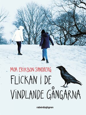 cover image of Flickan i de vindlande gångarna